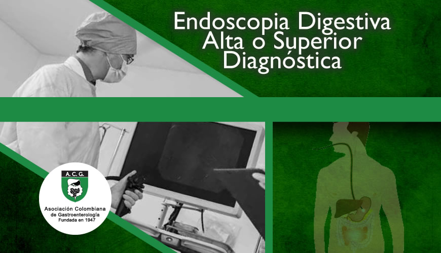 Endoscopia Digestiva Alta o Superior Diagnóstica.