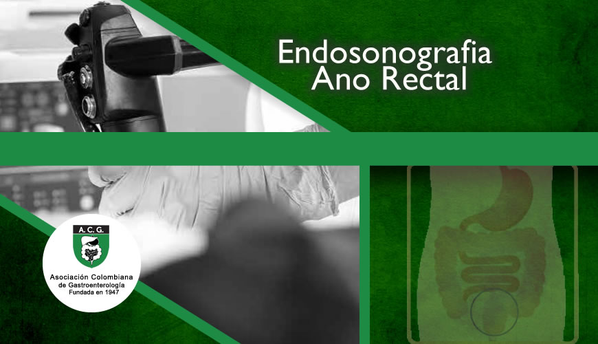 Endosonografia Ano Rectal